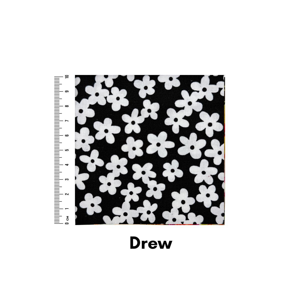 Drew