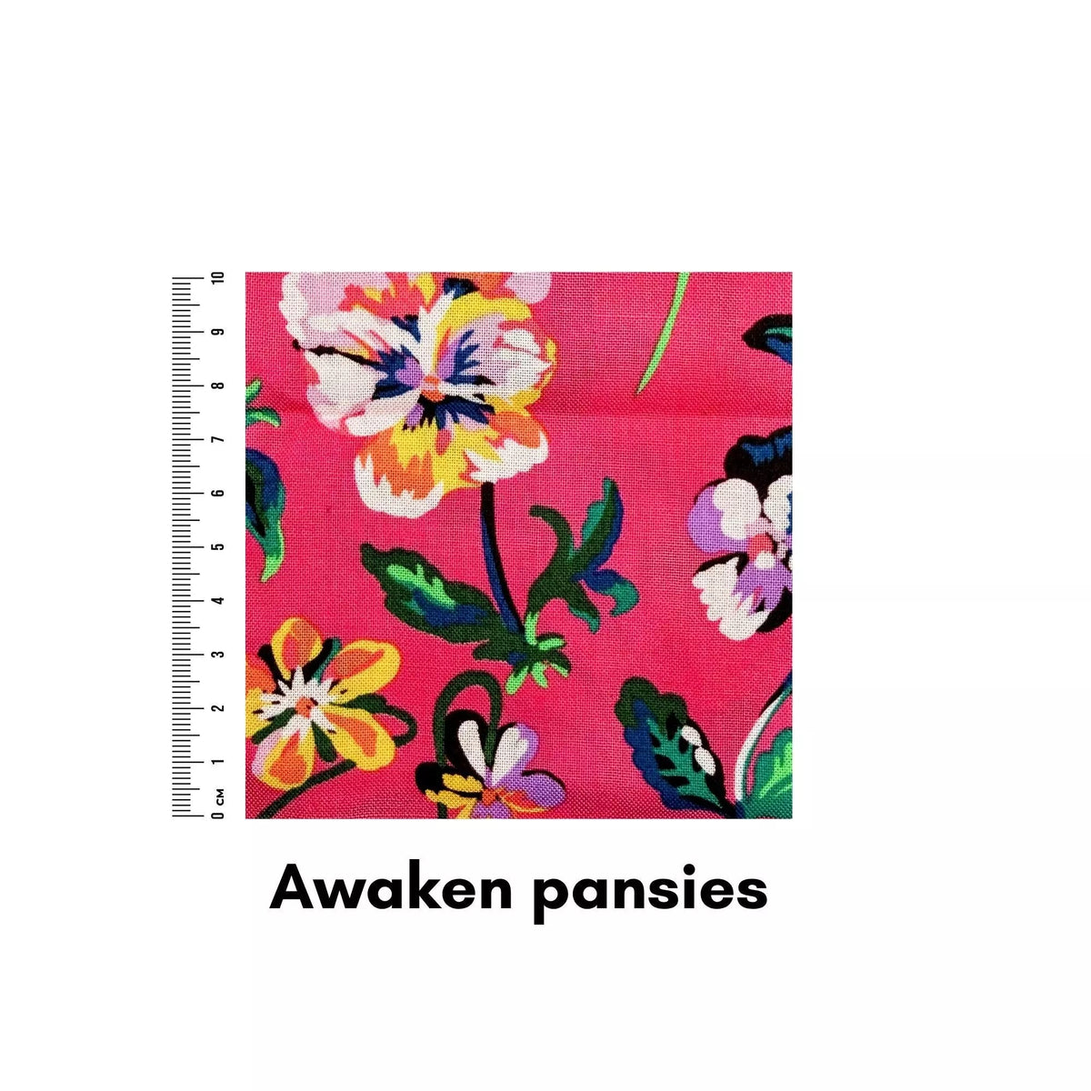 Awaken pansies - Helen Miller