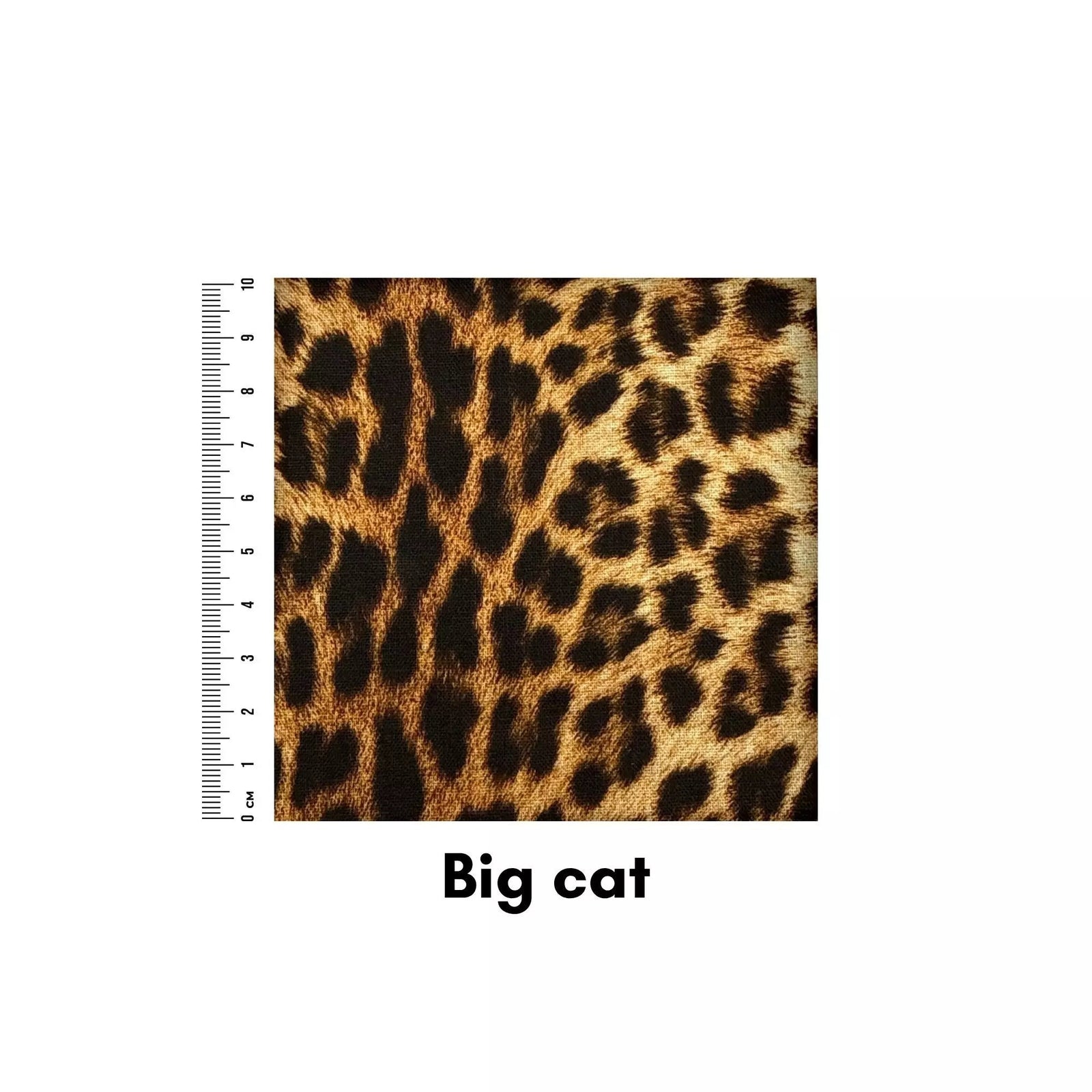 Big cat - Helen Miller
