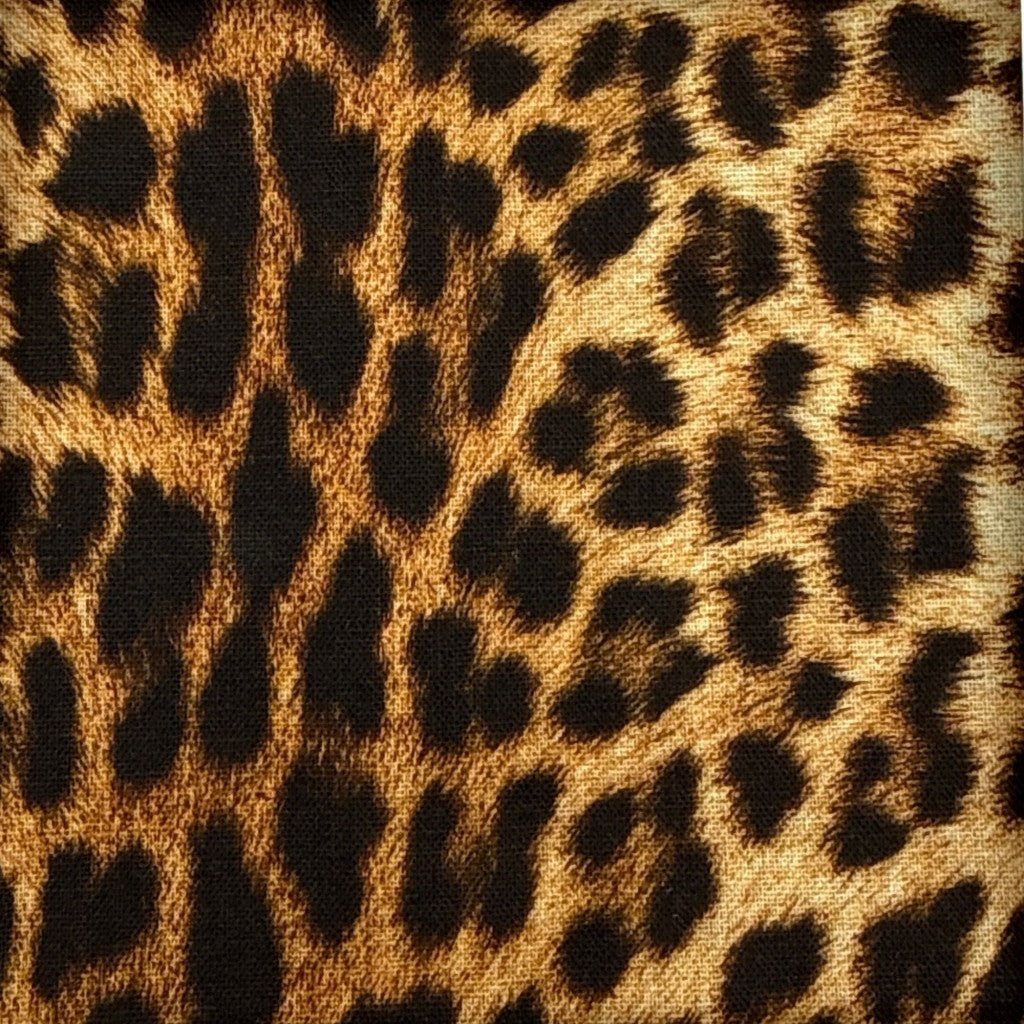Big cat - Helen Miller