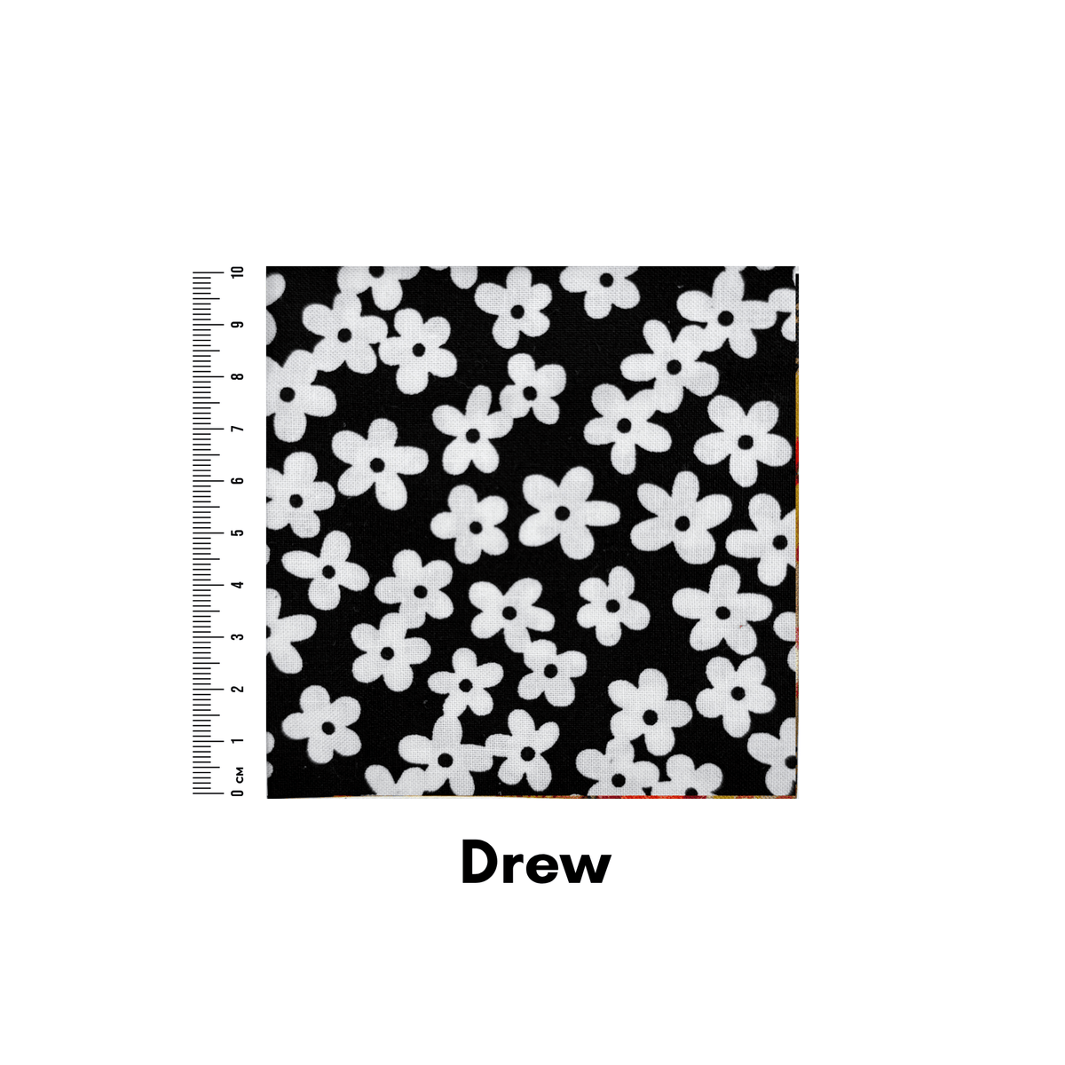 Drew - Helen Miller
