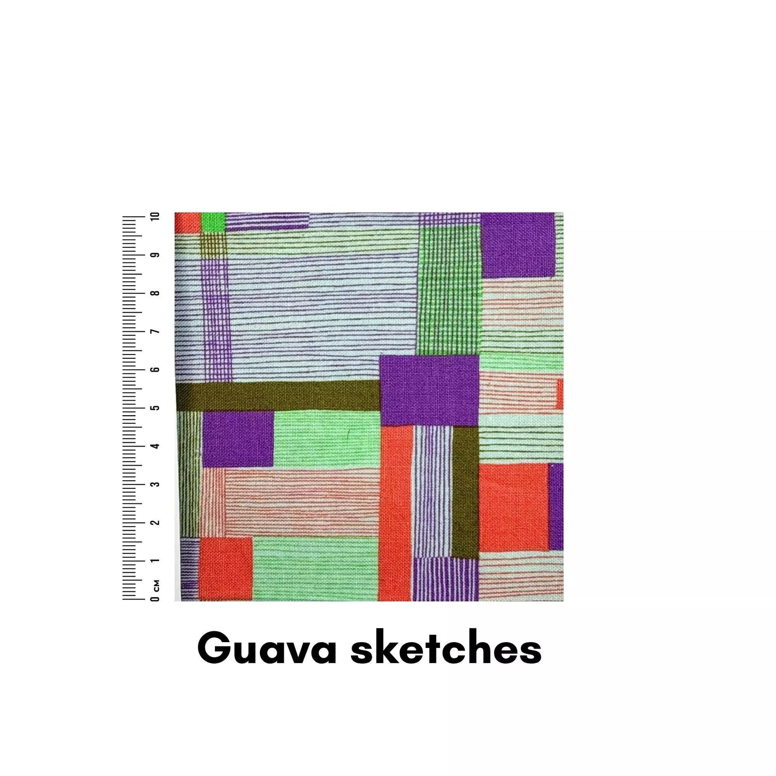 Guava sketches - Helen Miller