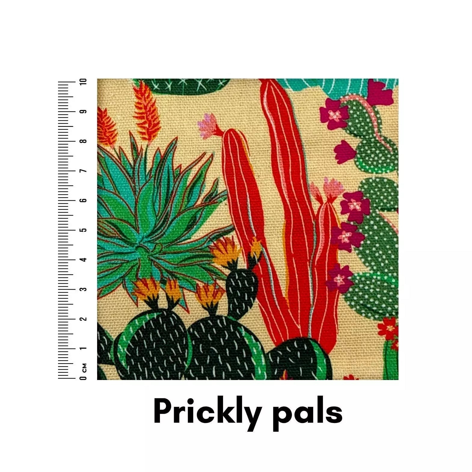 Prickly pals - Helen Miller