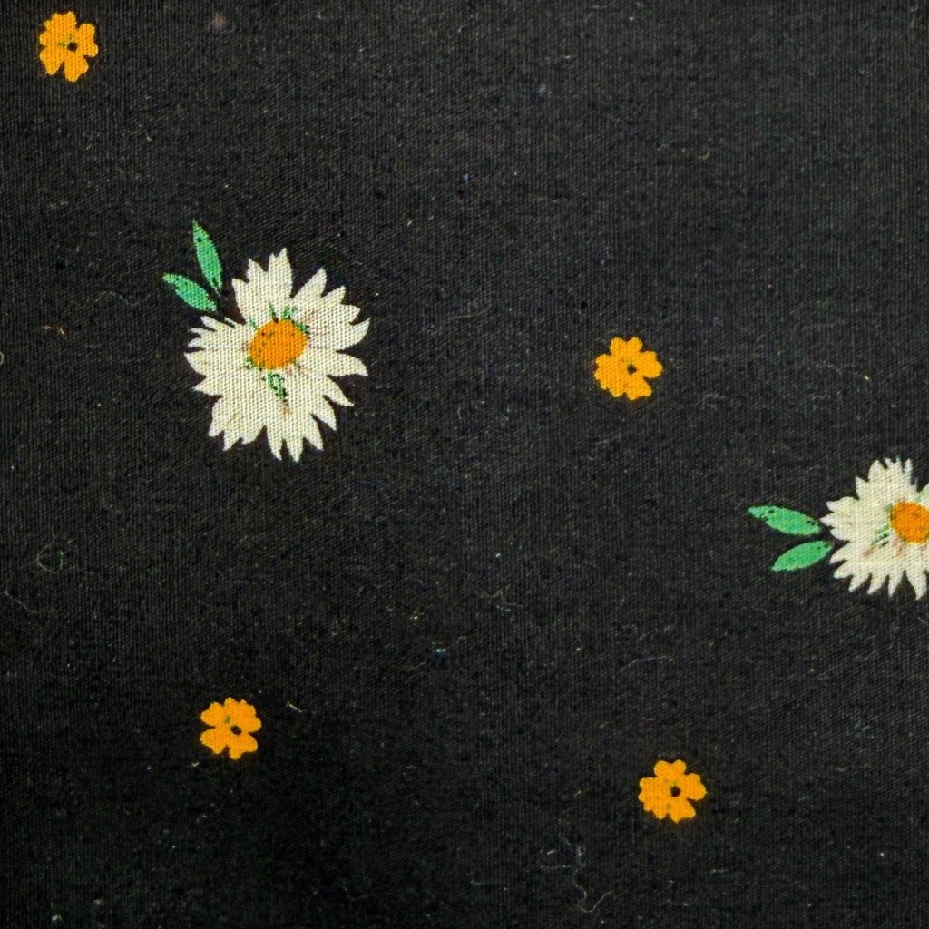 Twirling dasies - Helen Miller