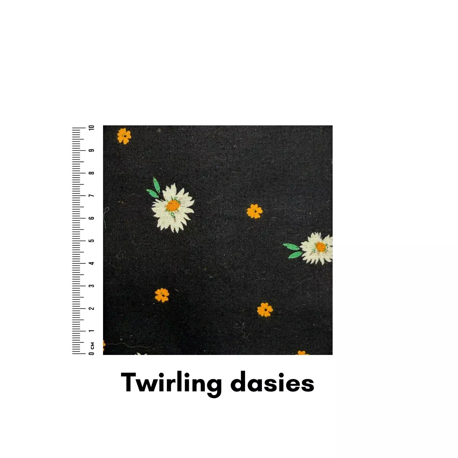 Twirling dasies - Helen Miller